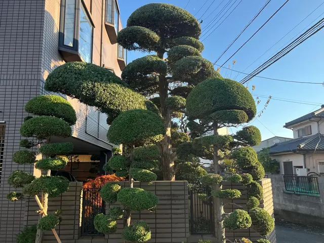 1本〜でもO.K! 手に負えなくなったお庭、綺麗に致します。サービスの画像