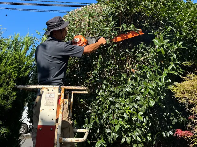 1本〜でもO.K! 手に負えなくなったお庭、綺麗に致します。サービスの画像