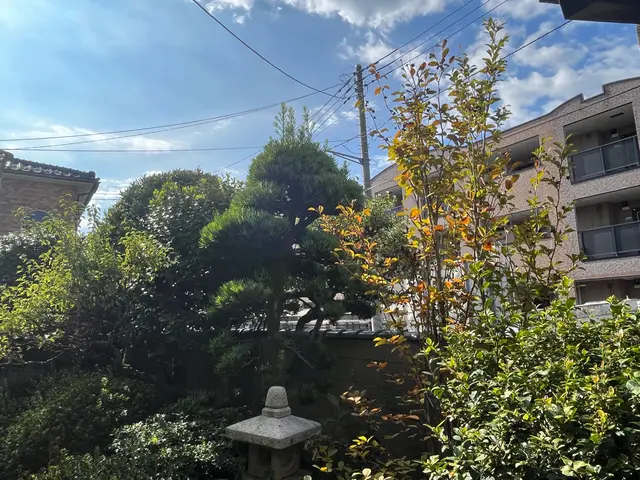 1本〜でもO.K! 手に負えなくなったお庭、綺麗に致します。サービスの画像