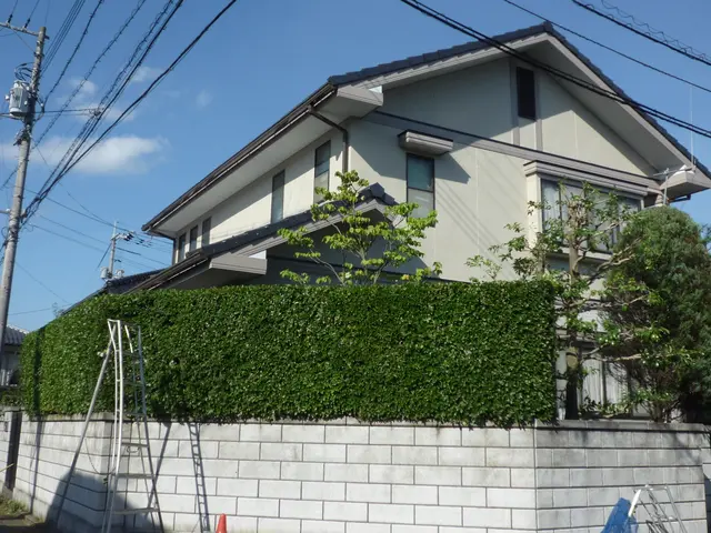 庭木の剪定！どんな庭木・時期・場所で剪定可能！樹木の医者にお任せください！サービスの画像