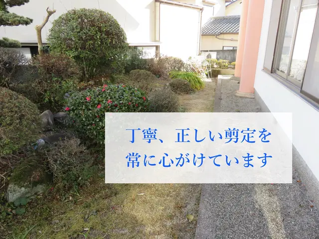 26年の経験ありで、樹木の医者です！★非喫煙者◉縮景園など剪定の経験あり☆サービスの画像