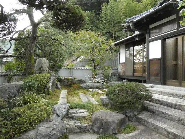 庭木の剪定！どんな庭木・時期・場所で剪定可能！樹木の医者にお任せください！サービスの画像