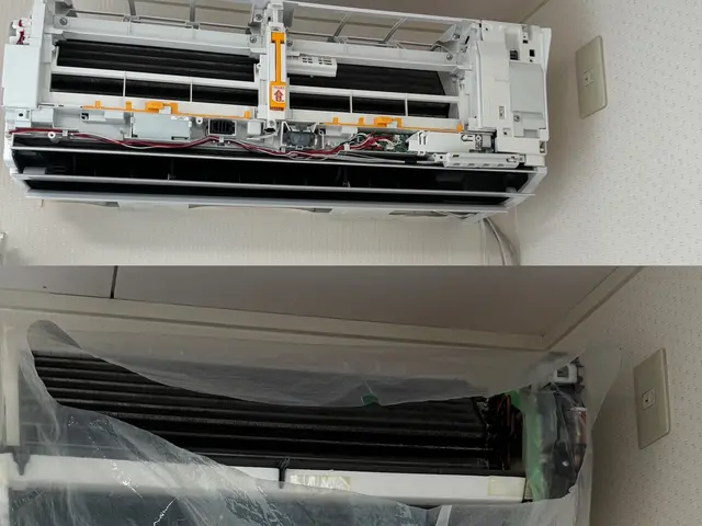 【2台以上11,000〜8,800/台】保険加入・女性同行○サービスの画像