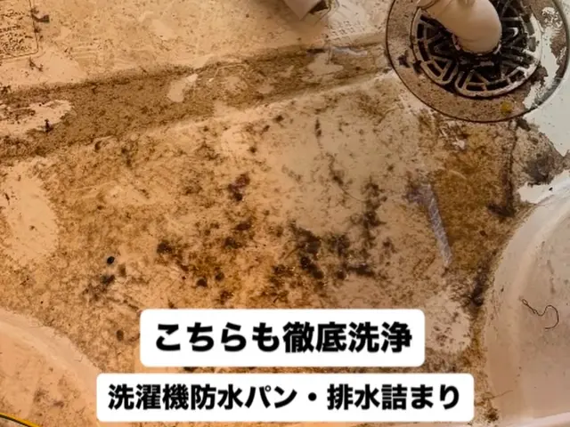 出店記念価格！ドラム式：通常29,700円→21,000円で提供中♪（実績多数）サービスの画像