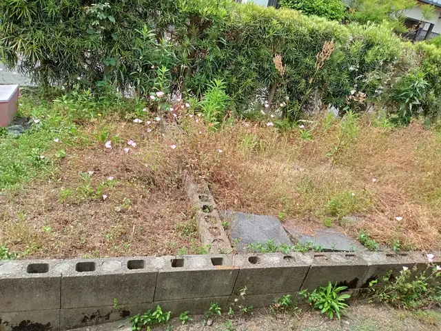 体に負担のかかる除草作業もお任せ下さい！サービスの画像