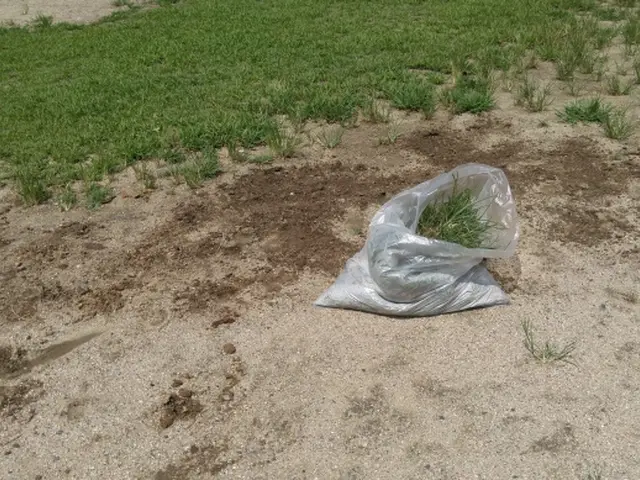 体に負担のかかる除草作業もお任せ下さい！サービスの画像