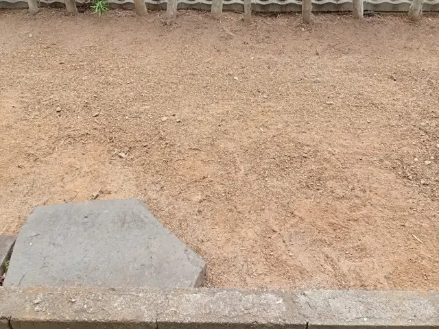 体に負担のかかる除草作業もお任せ下さい！サービスの画像