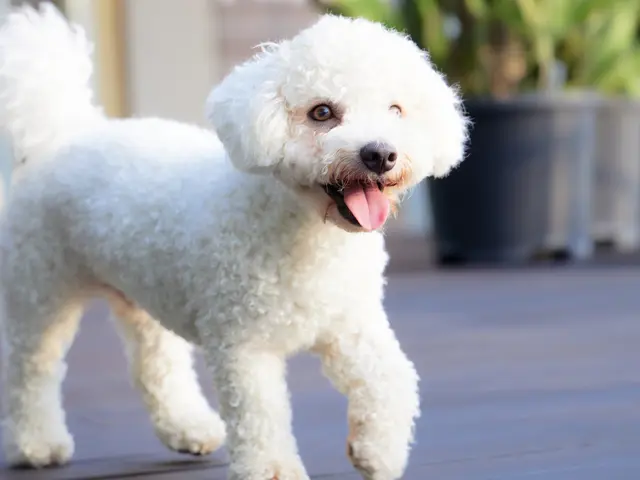 プロの技術でご満足いただけるように心を込めて撮影いたします