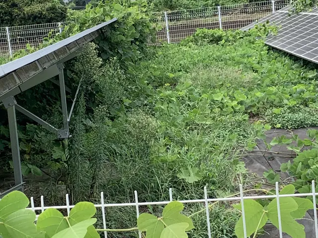 【宇都宮発‼】創業27年の信頼と実績◆お客様満足度をまだまだ追求中！サービスの画像