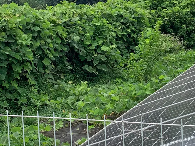 【宇都宮発‼】創業27年の信頼と実績◆お客様満足度をまだまだ追求中！サービスの画像