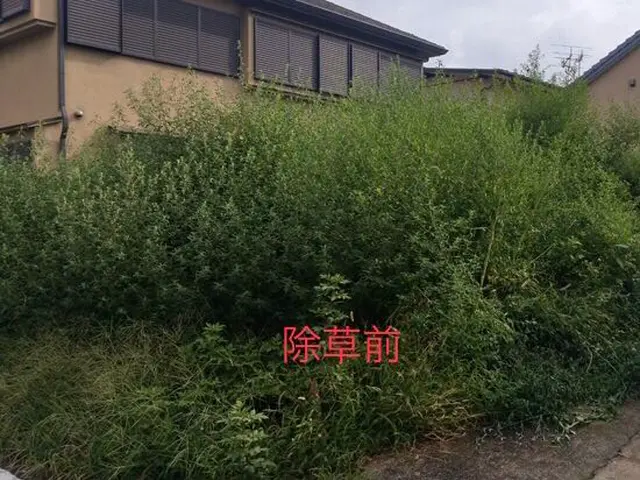 《営業時間外もご相談OK》ご要望に寄り添い、理想のお庭づくりをお手伝いいたしますサービスの画像