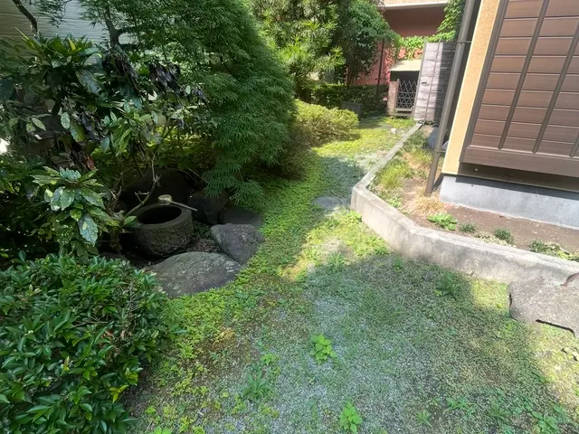 丁寧すぎる？！　よく言われます。草むしりは山本企画へ！サービスの画像