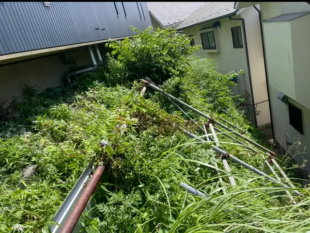 丁寧すぎる？！　よく言われます。草むしりは山本企画へ！サービスの画像