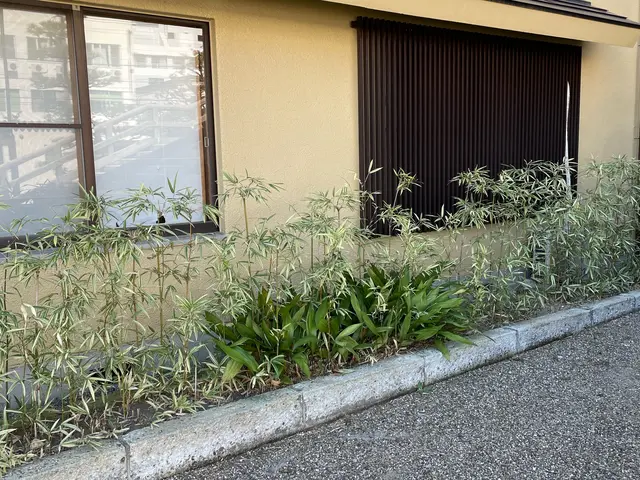 総作業件数500件超、剪定のプロがあなたの庭を美しく整えます！天端はビシッと！サービスの画像