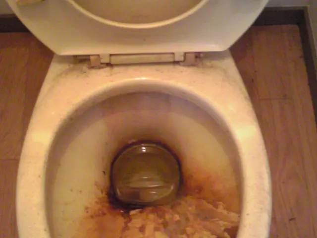 スミズミまでピカピカに！トイレクリーニングサービスの画像