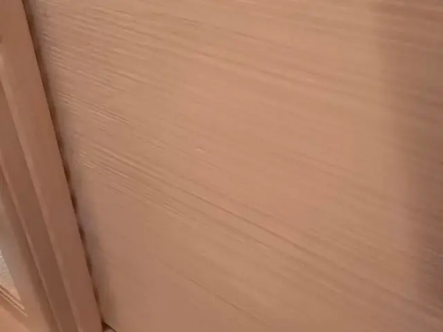 室内ドア補修サービスの画像