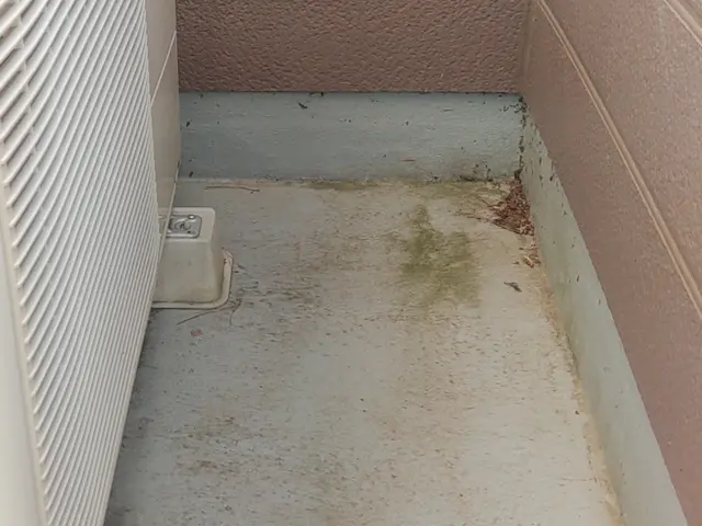 ただいま新年お掃除キャンペーン中です！！是非お得な時にご利用くださいサービスの画像