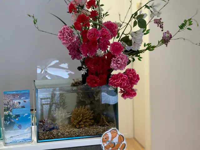 年末のお掃除に！20年の実績で5,000本以上！水槽が蘇る癒しの空間づくりサービスの画像