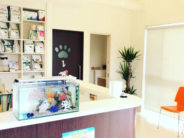 年末のお掃除に！20年の実績で5,000本以上！水槽が蘇る癒しの空間づくりサービスの画像