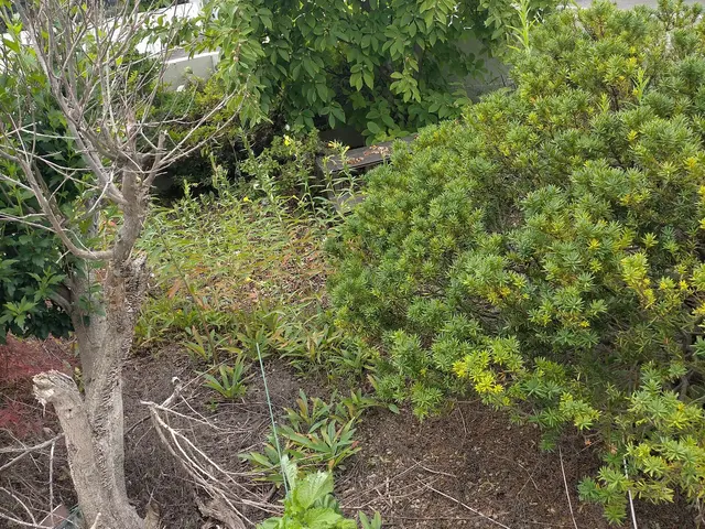 自社スタッフが迅速に対応致します。サービスの画像