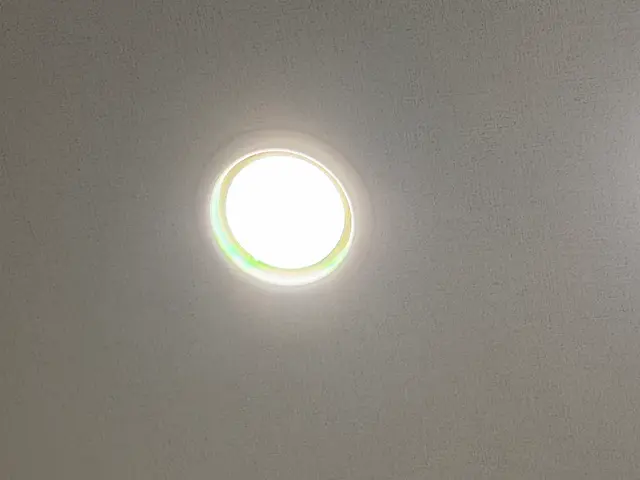 高所作業の電球交換サービスの画像