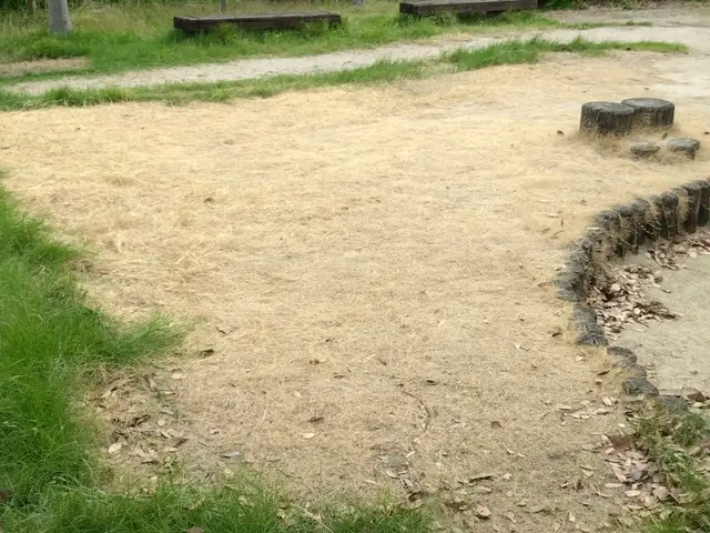 1000件以上の実績！美しい仕上がりと丁寧な作業で感動をお届けサービスの画像