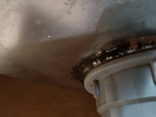 【業歴30年の実績】豊富な経験と知識を活かして心を込めて対応いたしますサービスの画像