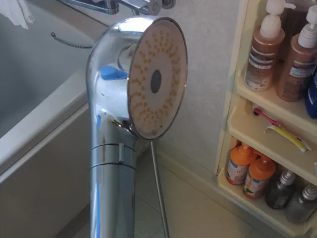 シャワーヘッドの水漏れ、グレードアップの交換いたしますサービスの画像