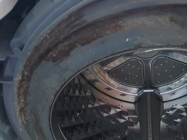 パナソニック製　NAシリーズ　洗濯機クリーニング承りますサービスの画像