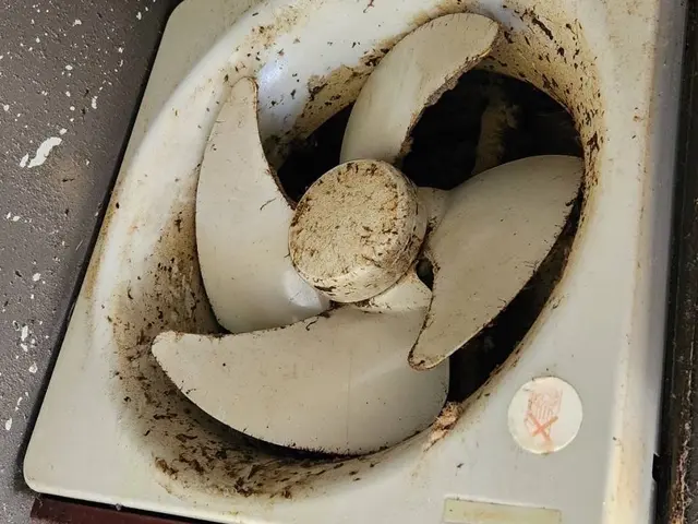 頑固な油汚れをしっかり除去します！プロペラタイプなら当店にお任せください！サービスの画像