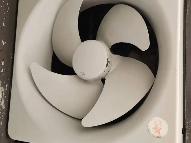 頑固な油汚れをしっかり除去します！プロペラタイプなら当店にお任せください！サービスの画像