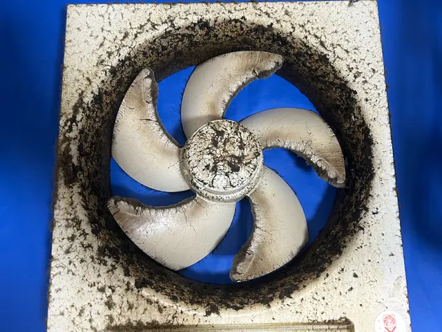 頑固な油汚れをしっかり除去します！プロペラタイプなら当店にお任せください！サービスの画像