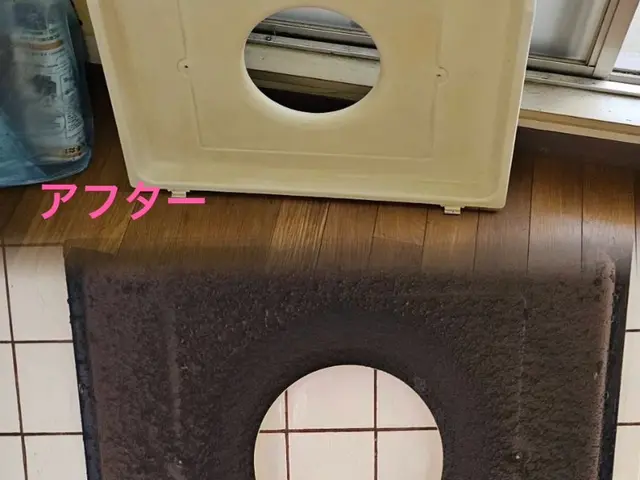 必ず女性と２人作業◆予約受付中◆paypay支払い可能※掃除で運気もアップサービスの画像