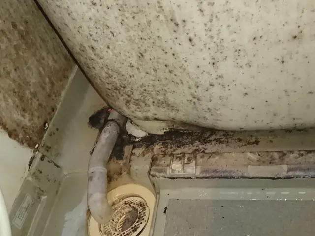 口コミ700以上！人当たりがよくて安心×満足×お得×差別化=大山サービスです！サービスの画像