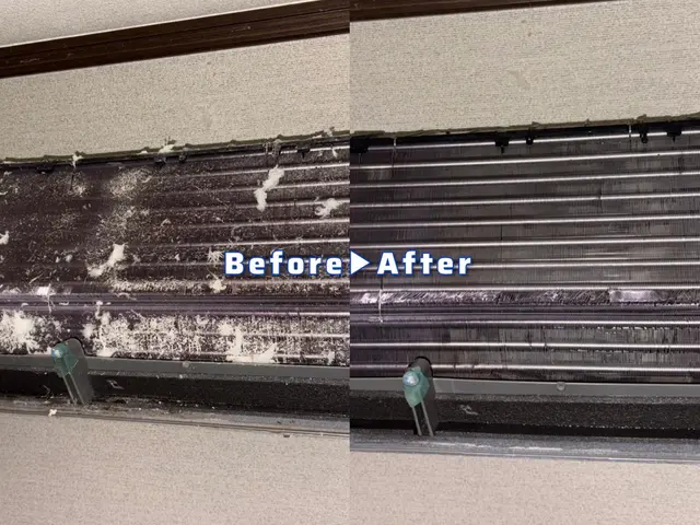 《完全分解対応店》エアコン終いなら室外機洗浄、消臭抗菌コート3点セットがお得!!サービスの画像