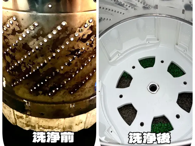 【元保育士の縦型洗濯機クリーニング】清潔感重視で満足クリーニングサービスの画像