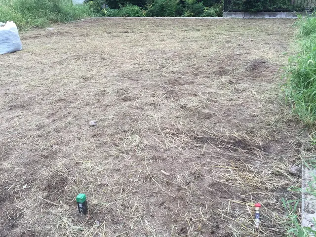 若さとやる気！！元気に草刈り♪クレジットカード対応☆神奈川県☆サービスの画像