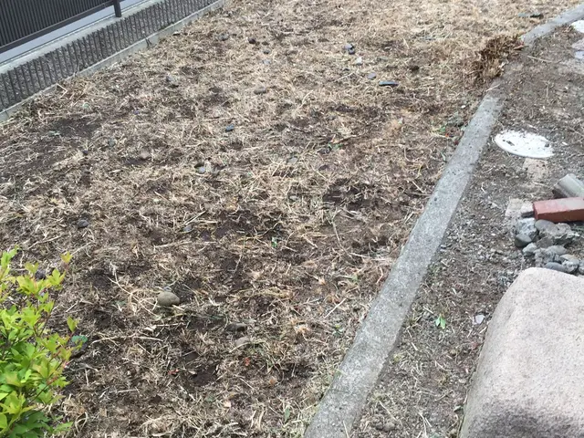 若さとやる気！！元気に草刈り♪クレジットカード対応☆神奈川県☆サービスの画像