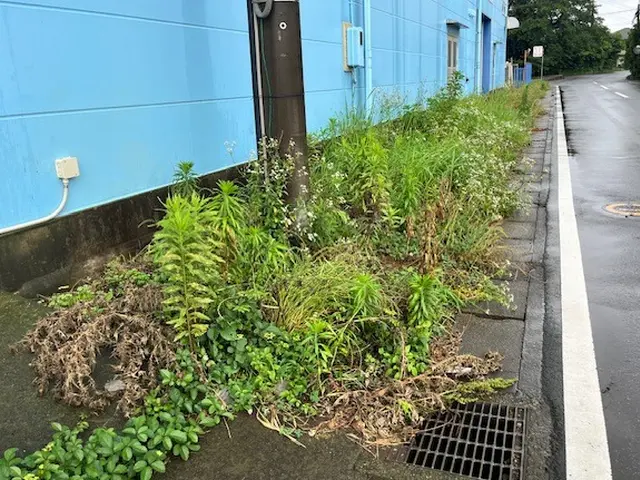 【柏市】最短即日対応可能です！損害保険加入済み◎サービスの画像