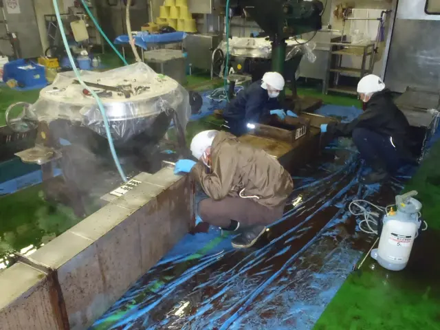 厨房内の洗浄サービスの画像