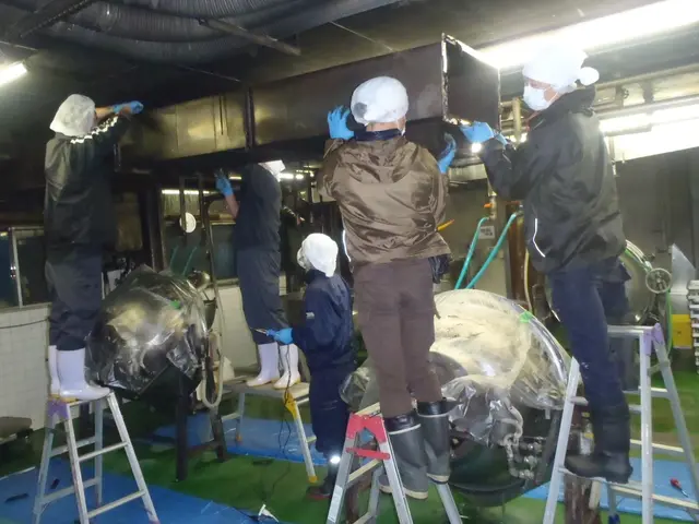 厨房内の洗浄サービスの画像