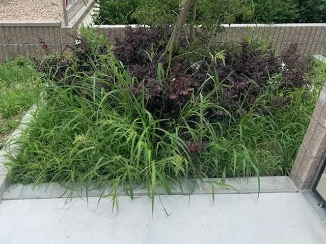 【6年の実績】丁寧/迅速に対応◉手作業で丁寧に♬効率的に時短で対応可能★大手経験サービスの画像