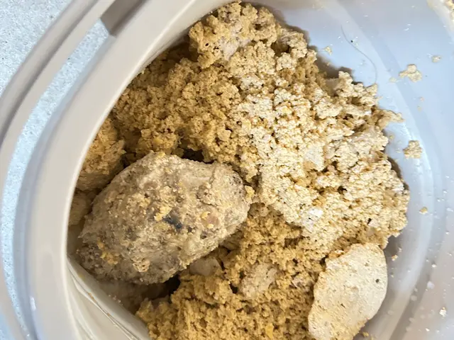 排水管メンテ☆敷地内汚水枡含む☆実績年間1000件以上☆くらま鹿児島掲載記念サービスの画像