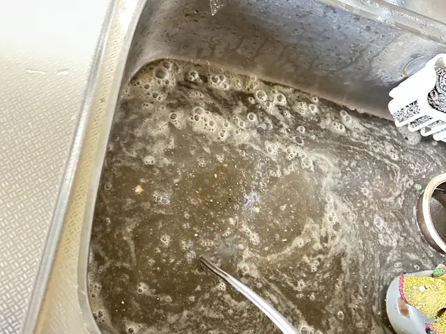 排水管メンテ☆敷地内汚水枡含む☆実績年間1000件以上☆くらま鹿児島掲載記念サービスの画像