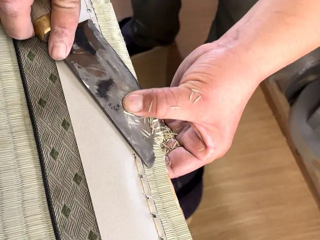 【畳専門で創業70年】200種類以上の畳縁、家具の移動費も全部コミ！国産畳替えサービスの画像