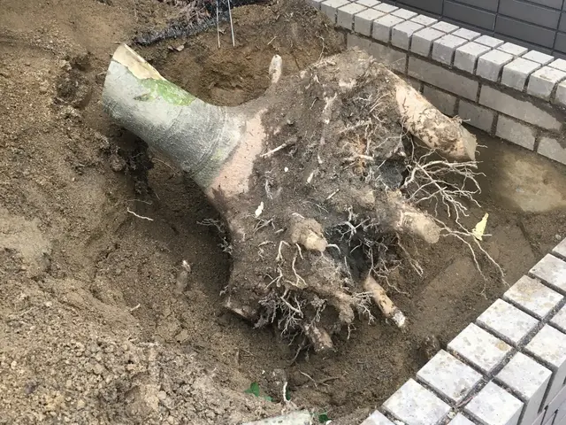 お客様のお力になります！経験と知識を活かして迅速丁寧に作業いたしますサービスの画像
