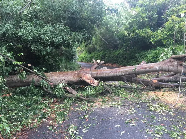 お客様のお力になります！経験と知識を活かして迅速丁寧に作業いたしますサービスの画像