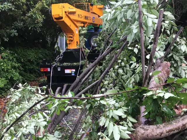お客様のお力になります！経験と知識を活かして迅速丁寧に作業いたしますサービスの画像