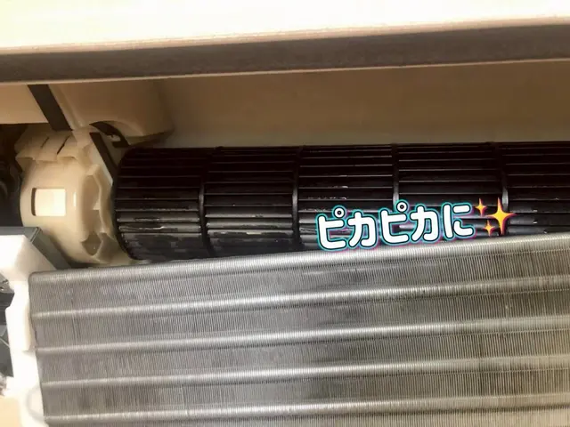 2月限定！！☆新規出店特別記念価格☆赤字覚悟の通常22,000→11,000サービスの画像