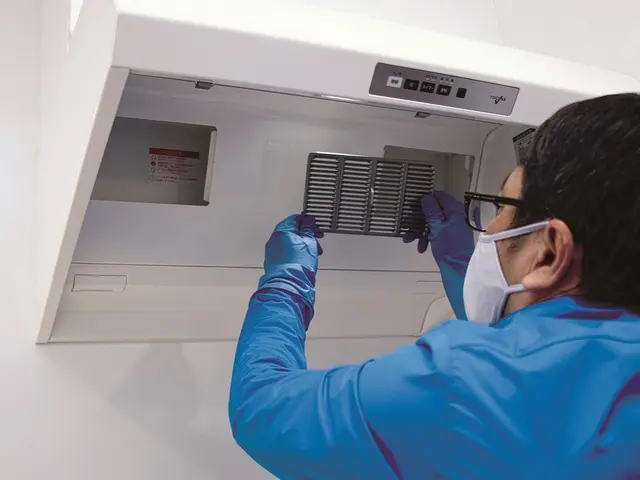 自然由来の “エコ洗剤” で優しくお掃除するので、デリケートな方にも安心・安全！サービスの画像